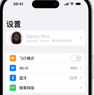 蓬莱镇appleID维修服务iPhone设置中Apple ID显示为灰色无法使用