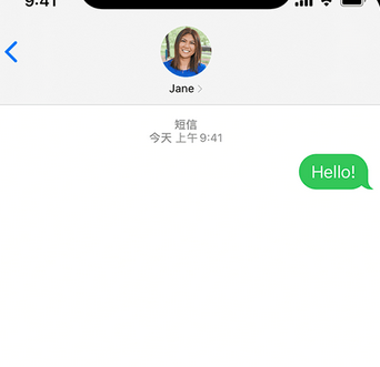 蓬莱镇apple维修iPhone上无法正常发送iMessage信息