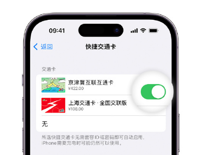 蓬莱镇apple维修点分享iPhone上更换Apple Pay快捷交通卡手绘卡面 