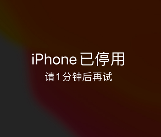 蓬莱镇苹果手机维修分享:iPhone 显示“不可用”或“已停用”怎么办？还能保留数据吗？ 