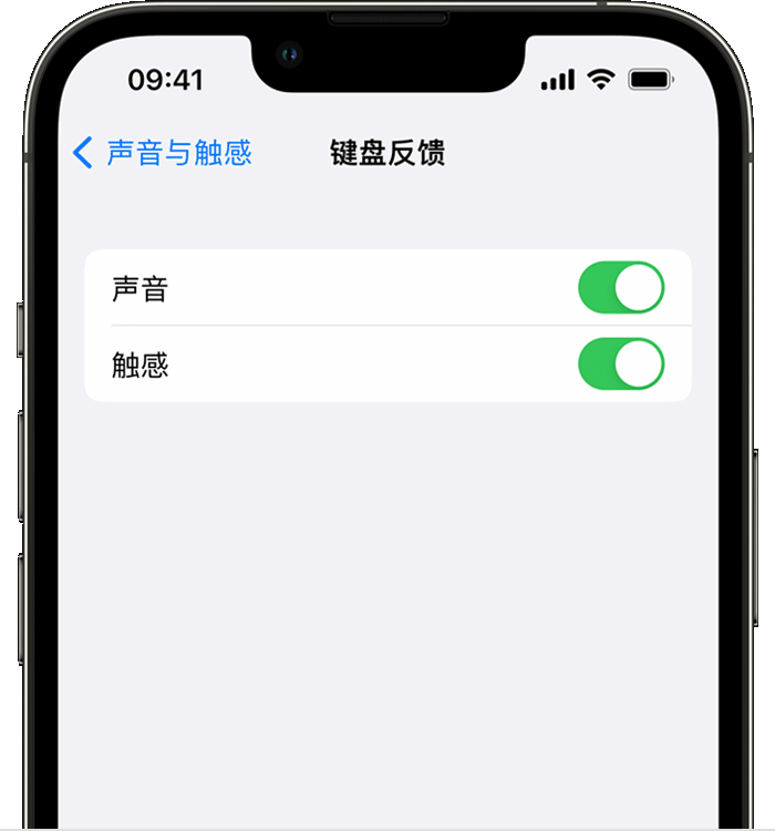 蓬莱镇苹果14维修店分享如何在 iPhone 14 机型中使用触感键盘 