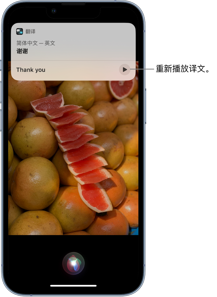 蓬莱镇苹果14维修分享 iPhone 14 机型中使用 Siri：了解 Siri 能帮你做什么 