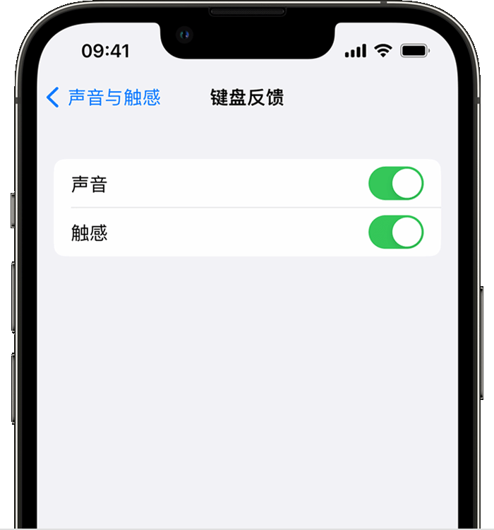 蓬莱镇苹果14维修分享iPhone 14 系列机型如何开启键盘声音或触感反馈 