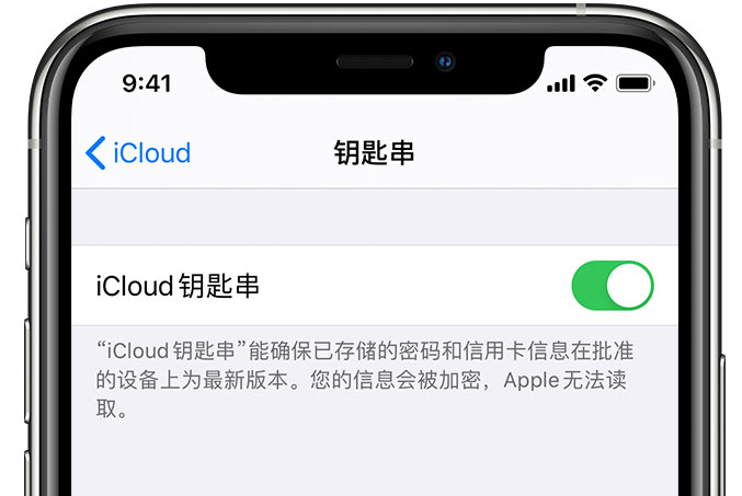 蓬莱镇苹果手机维修分享在 iPhone 上开启 iCloud 钥匙串之后会储存哪些信息 