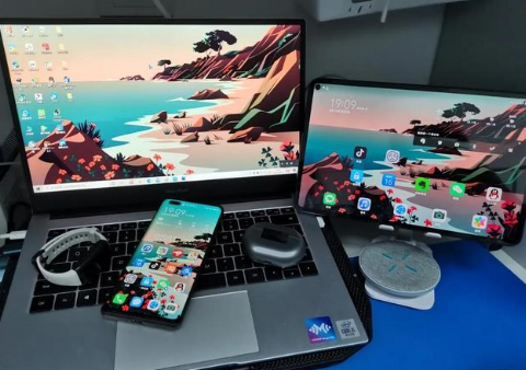 蓬莱镇苹果手机维修分享为什么iPad屏幕更大价格却比iPhone低 
