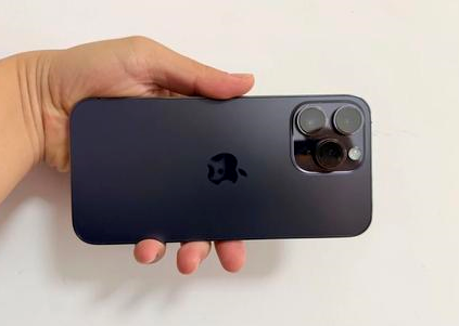 蓬莱镇苹果维修点分享iPhone 14 Pro Max黑屏少见故障盘点 
